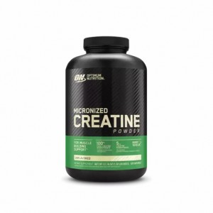 Optimum Nutrition Micronized Creatine Powder Unflavored 1.32 lb (120 Servings) Chile | 541-PVXSUO