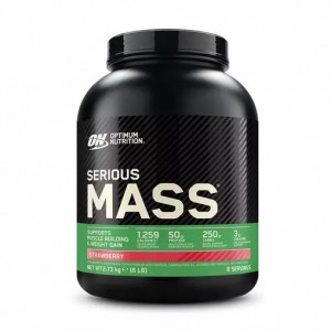 Optimum Nutrition Serious Mass Gainer Strawberry 2.73 kg (8 Servings) Chile | 567-MQGWJC